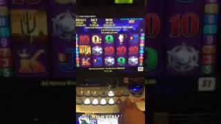 Wild Stallion - High Roller $100 hits Pokie Win!