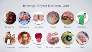 Kangen Water Indonesia - WhatsApp: +1916-500-4775