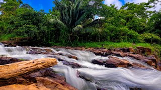 30 Minutes Fall Asleep Flute Relaxing Music | Meditation, Spa Music, Study Music, Insomnia ☯019