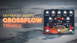 Intrepid Audio Crossflow | Demo