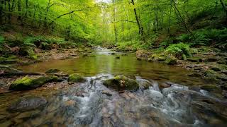 8 HOURS of Deep RELIEF Music That MELTS Stress & Anxiety Away (Ultimate Alpha Waves)