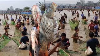 Fishing compition. জাকৈ মাৰা প্ৰতিযোগিতা খেলা 