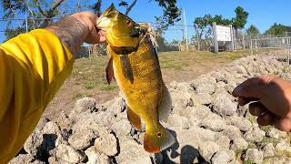 HUGE Peacock Bass catch in West Palm Beach. Fishing is a grind nowdays!!