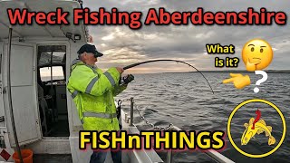 Wreck Fishing: Boat Fishing: North Sea: Aberdeenshire: FISHnTHINGS 🎣