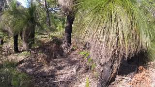John Tibby discussing sampling organic matter sources to Blue Lake, North Stradbroke Island