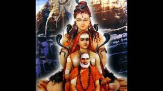 #SringeriSisters #Thotakaashtam