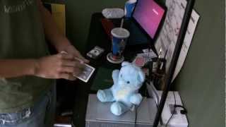 Blue Bear