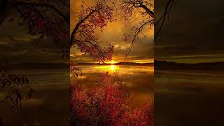 Mother Natures Son,The Beatles (lyrics)The White Album (1968)