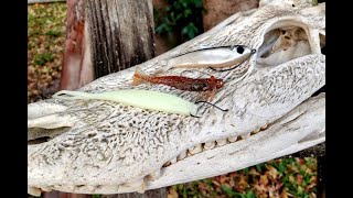 DOA Speckled Seatrout Lures with Mark Nichols and Capt. William Toney | In The Spread Fishing