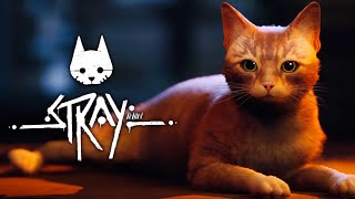 Stray: Полное прохождение игры.