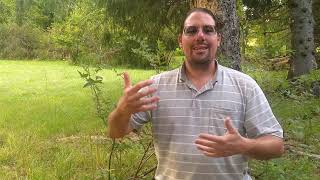 Homestead Livestock: How To Choose