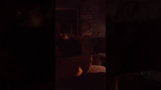 dandelion hands Periscope Livestream 12/09/18