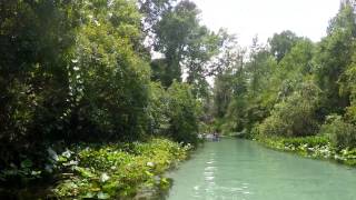 Rock Springs Run, Kelly Park, Apopka