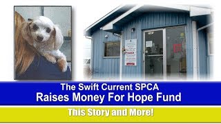 Swift Current & Area News - January 15, 2019