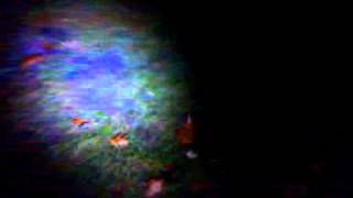 Super Storm Sallys outskirt winds (Mikado,Michigan