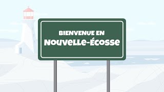 Visite d'une ferme d'arbres de Noël