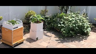 ProGrow Hydroponics Hybrid System Introduction