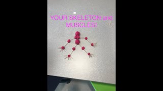 BUCCANEER SCIENCE SPECIAL: Create Your Own Skeletal Model