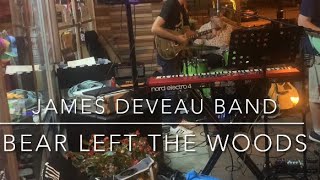 “Bear Left the Woods” (live) - James DeVeau Band