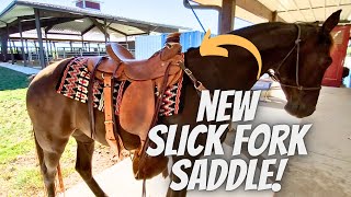 NEW Slick Fork Saddle | Gelding Tacked Up | Tennessee Walking Horses