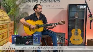 Antonio de Toledo 2016 flamenco guitar for sale played by José Andrés Cortés