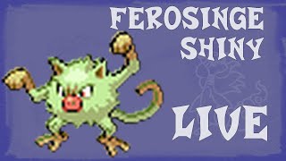 Férosinge Shiny (Mankey) in 117 encounters navidex - Pokemon ORAS - Live Twitch - 30/08/2015