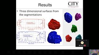Carlos Reyes-Aldasoro - Semantic segmentation of HeLa cells
