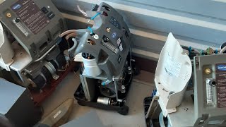 Roe Mantic Live Stream