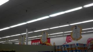 Bird grocery shopping