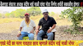 बैलगाडा संघटना अध्यक्ष संदीप भाई माळी यांचा मोठा निर्णय😱 | एवढे नंदी का मरण पावतात हॉस्पिटल बनणार 💯