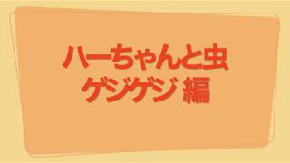 [ハラちゃんねる] ハーちゃんと虫 ゲジゲジ編