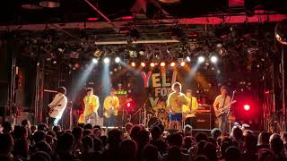 【LIVE】maegashira - Freedom【2019.12.30@広島クラブクアトロ】