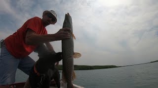 Fishing Lake St. Clair  Ep2 Pike, Bass, Walleye  Awesome Day Of Fishing Over My Limit