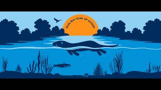 Episode 265: Big Year of Rivers — Three Rivers