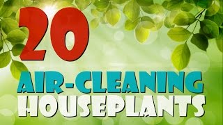 HOW TO IMPROVE INDOOR AIR QUALITY