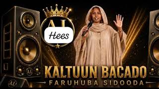 Hees Jacayl  Kaltun Bacado 2026