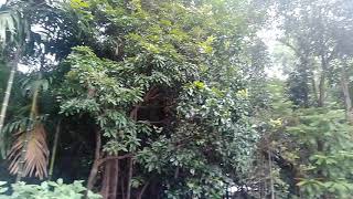 বাংলা ব্লগ ০৩।  ১৪/০৭/২০২১