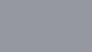 Nasty Gray Screen For 1Hour... #9698A3