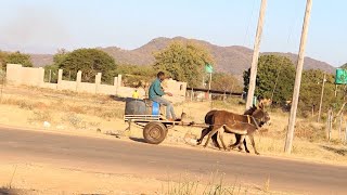 Metsi Mothupi wa Bophelo (Water The source of Life) PART 1 mini doccie series