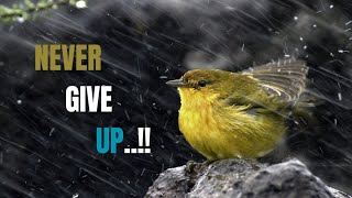Fight OF only YourSelf..! 💯 || Best Motivational Quotes || #motivational #quotes #videos