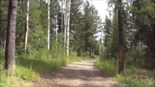 Yellowstone Music Video: "Follow Me"