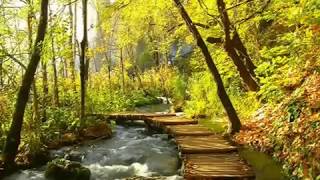 Malinconico autunno - Eddy Napoli - (Cover Olivia)