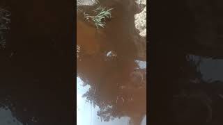 used oil from a private company