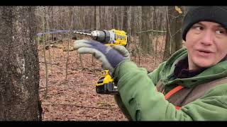 Tapping the Tree: Wáhta̲ʼ Maple Farm, Episode 4