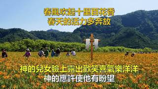 信賴耶穌心中就有平安 卡拉OK演唱版