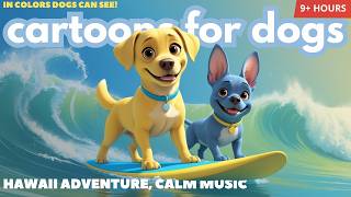 Bluey & Luna’s Hawaii Adventure 🌴 | Cartoons for Dogs in Colors they see + Deep Relaxation Music