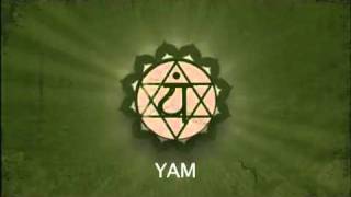 MC Yogi - Chakra Beatbox