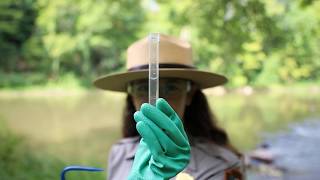Citizen Science: Water Chemistry Testing
