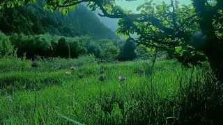 SAIRAM vlog 5:"Pushing Limits:Conquering the Peaks of SAIRAM mountain ranges"#mountains #kazakhstan