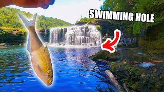 Fishing Live Bait At The Most Beautiful Swimming Hole In Tennessee!